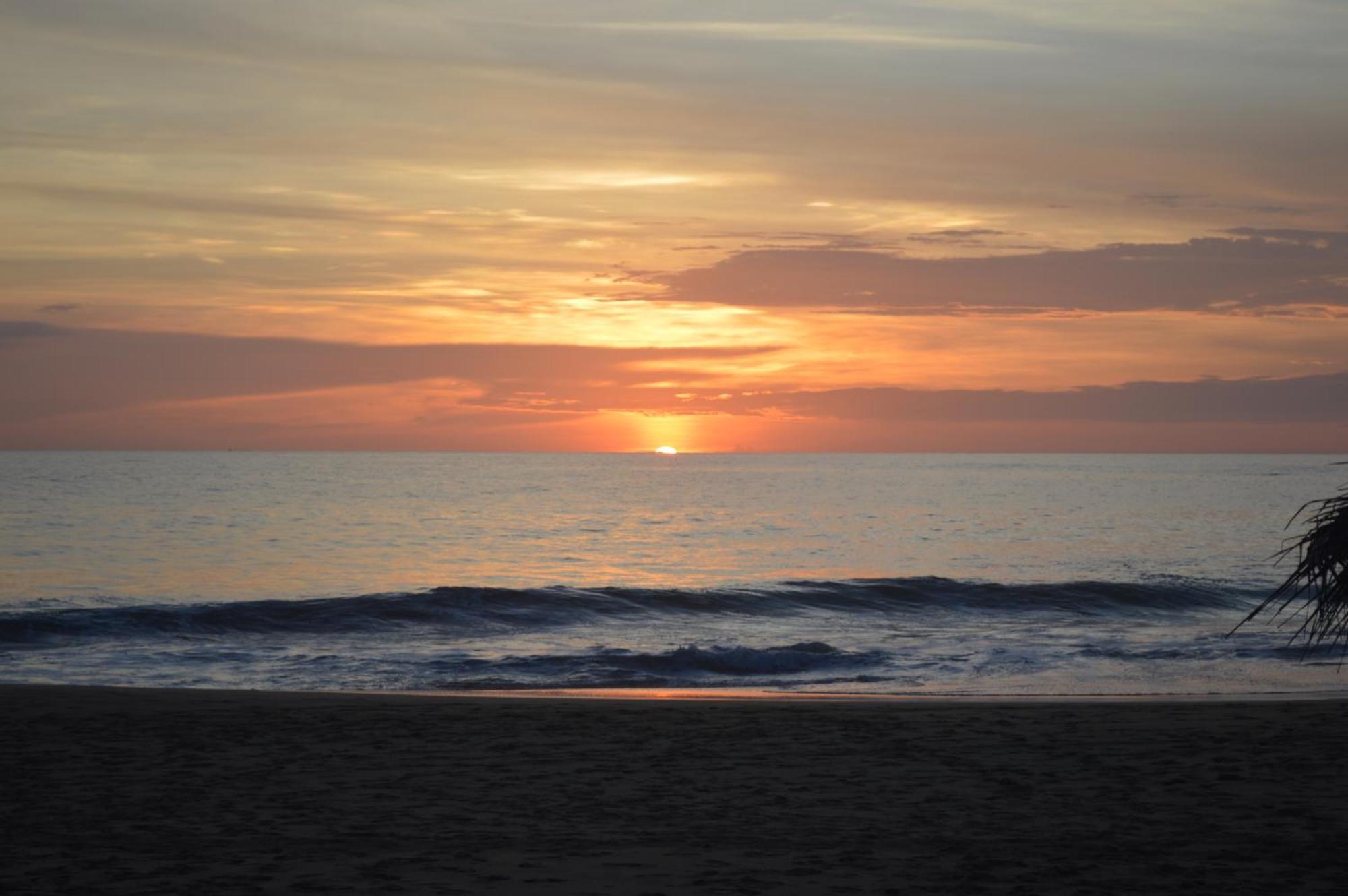 Whitepearl Beach Hikkaduwa Buitenkant foto